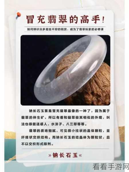 翡翠大师单机版震撼发布，成为鉴别翡翠的顶尖高手！