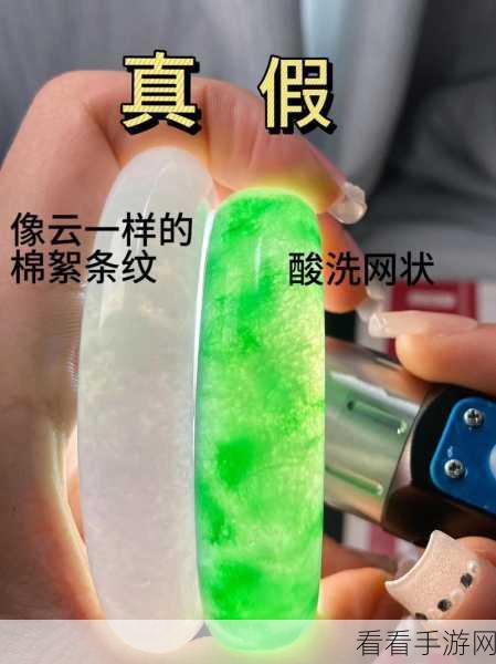 翡翠大师单机版震撼发布，成为鉴别翡翠的顶尖高手！