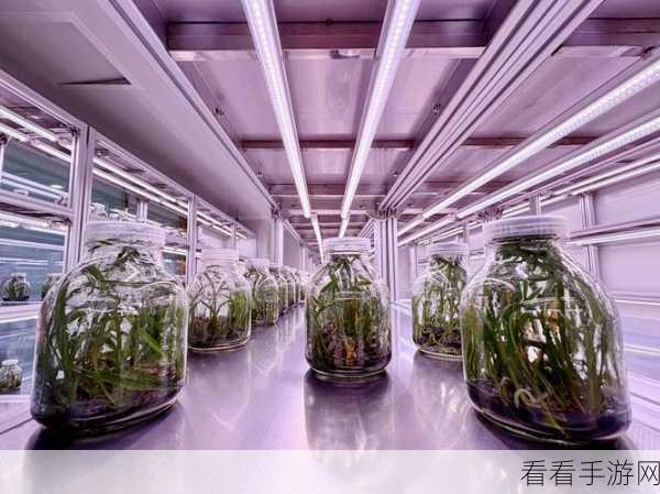 虫虫资源库：全面提升虫虫资源库的功能与应用价值探讨