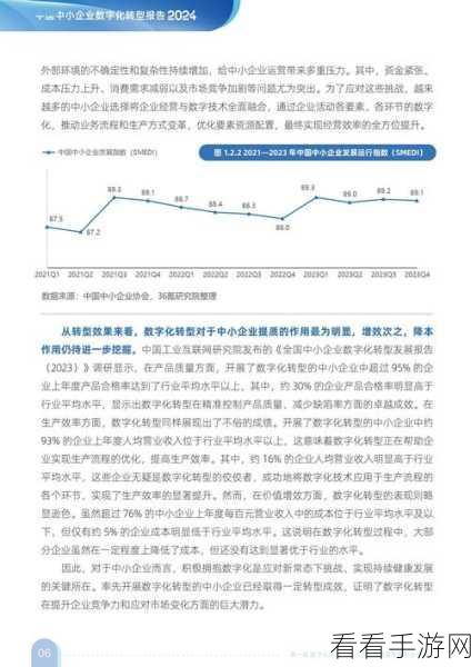 17c,起草：拓展17c：深入探讨数字化转型对企业发展的影响与策略