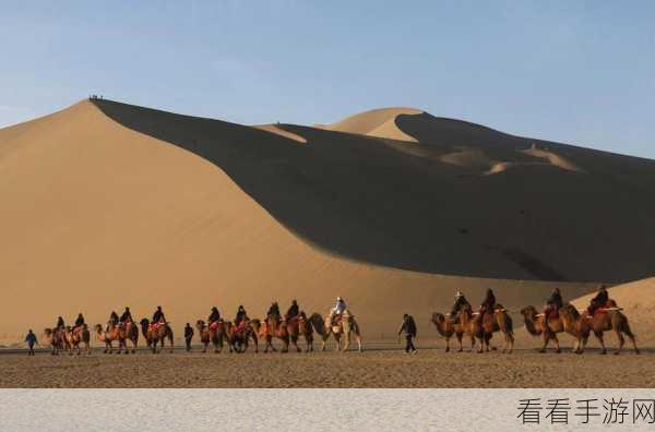 牧场VjdeCs人与交Kg：拓展牧场：人与自然和谐共生的新篇章与探索之旅