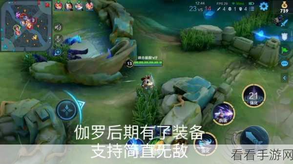 伽罗腿法娴熟脚法教学视频：掌握伽罗腿法：专业脚法技巧教学视频全解密