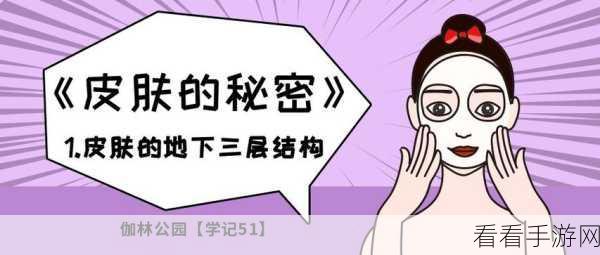 51免费爆料：全面解析51免费爆料背后的秘密与价值，助你轻松获取信息