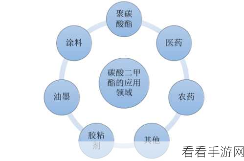 w17.c-起草：探索W17.c项目的潜在应用与发展前景分析