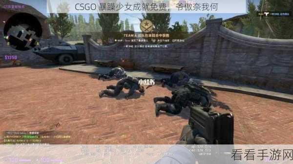 暴躁少女csgo一：暴躁少女的反击之路：CSGO中的拼搏与成长