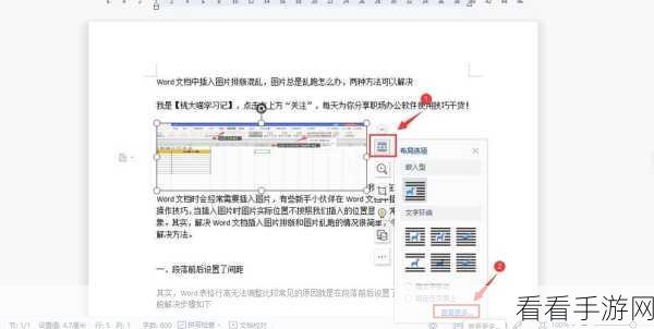 轻松解决！WPS 文档插入图片与文字间距过大的妙招