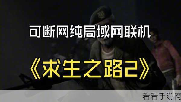 求生之路网吧如何局域网联机：拓展求生之路：网吧局域网联机攻略与技巧分享