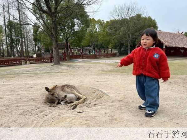 休闲新宠，动物大碰撞消除闯关赛，欢乐无极限！