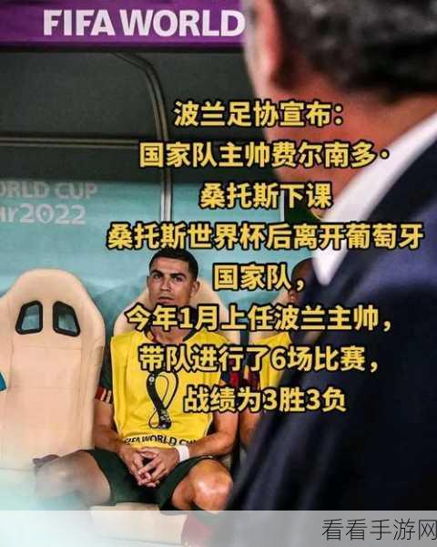 葡萄牙主帅桑托斯离任：葡萄牙国家队主帅桑托斯辞职，足球未来新篇章开启