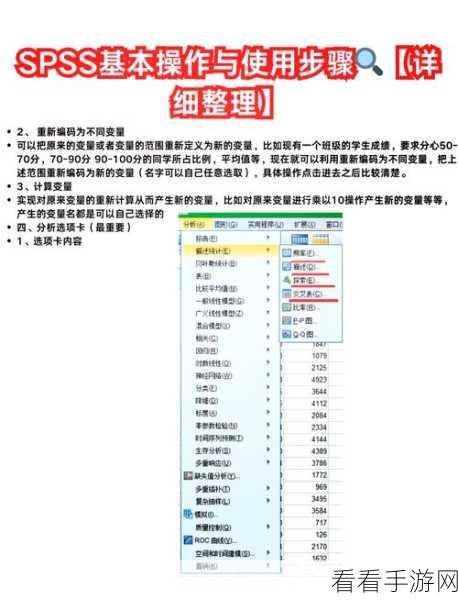 SPSS 求和计算秘籍，轻松掌握的实用技巧