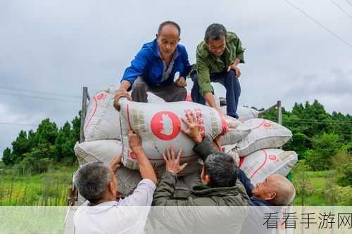 儿子帮妈妈耕种荒废的田：儿子携手妈妈重耕荒田，共创丰收美好未来