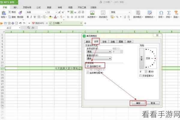 WPS 文字换行难题，让第二行字轻松后移的秘籍