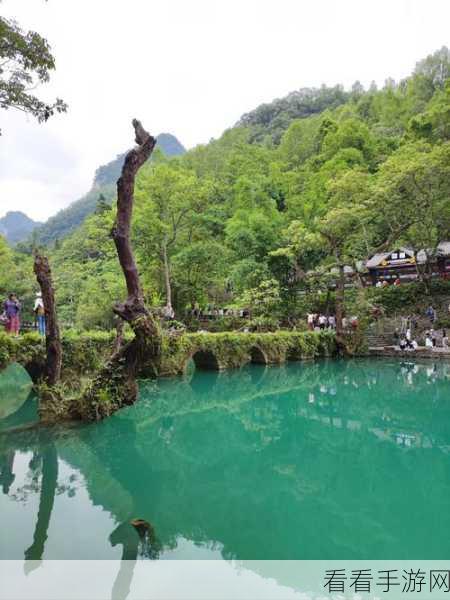 两峰夹小溪地湿又无泥诗 小说：溪水潺潺，湿地幽径两峰相依的诗意世界