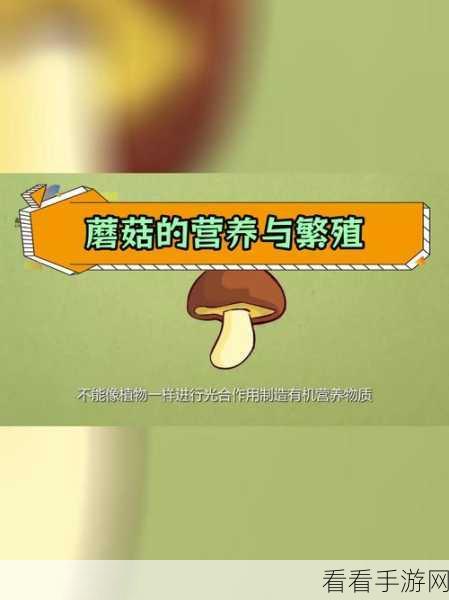 蘑菇黑料爆料传送门：全面揭秘蘑菇黑料背后的真相与内幕传闻