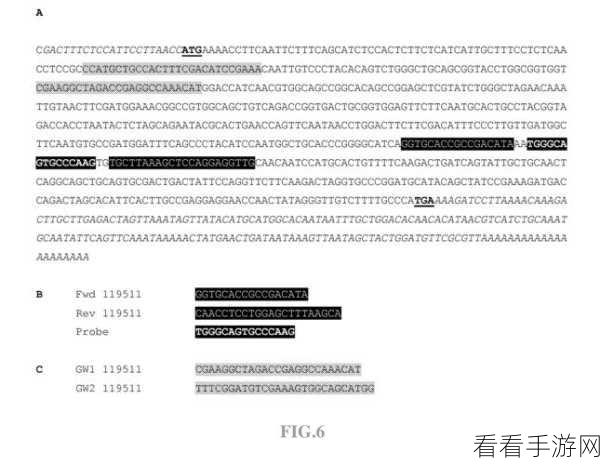 cgtt今日新瓜：今日新瓜：CGTT最新动态解析，精彩内容不容错过！