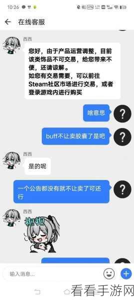 暴躁老姐的csgo心得：暴躁老姐的CSGO心得：从菜鸟到高手的成长之路