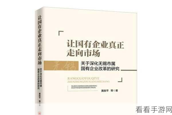 17c一起草国占：深化17c政策，推动国有企业改革与发展新篇章