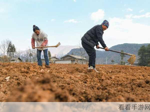 耕了母亲荒废土地：重新焕发生机：母亲荒废土地的耕作之旅