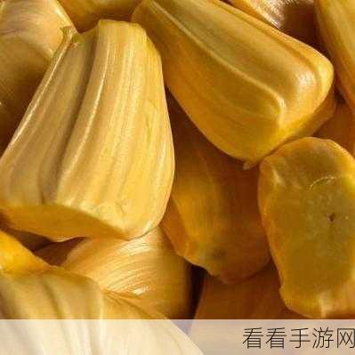 菠萝蜜影视 免费：拓展菠萝蜜影视：畅享无限精彩，感受视觉盛宴的完美选择！