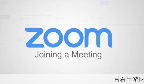 Zoom人与ZoomZoom：Zoom人与ZoomZoom：虚拟世界中的沟通与连接新方式