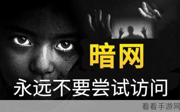 91暗网破解版:探索91暗网破解版:揭秘隐秘网络世界的奥秘与风险