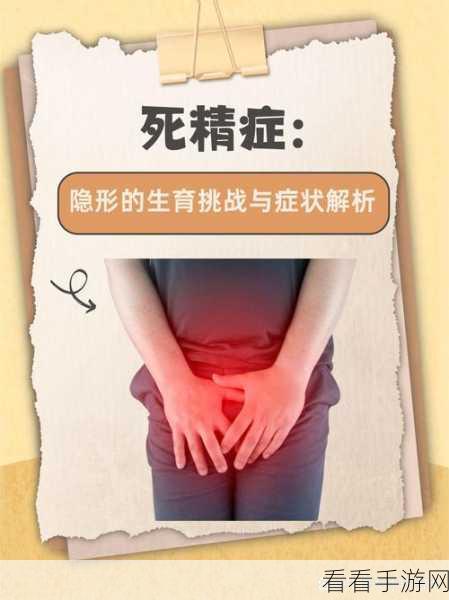 99精产三产区区别在线观看:深入解析99精产三产区的区别与特点在线观看