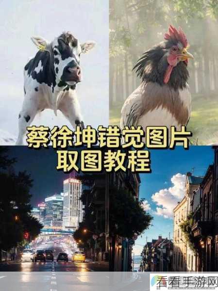 男人把坤坤放女人定眼:男人如何将坤坤塑造成女性理想中的形象与标准