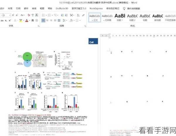 电脑版有道云笔记轻松实现全篇翻译秘籍