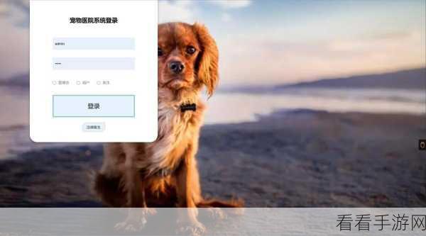 404禁止观看软件：如何绕过404禁止观看软件的限制，畅享无限内容？