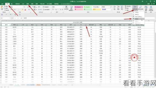 Excel 筛选选项添加秘籍，轻松搞定表格筛选难题