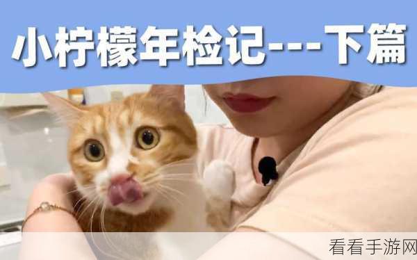 糖心短视频vlog柠檬猫：甜蜜柠檬猫的日常生活与趣味探险分享