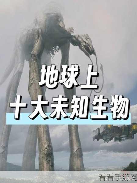 深海巨腹鱼群：深海巨腹鱼群探秘：神秘生物的生态与习性解析