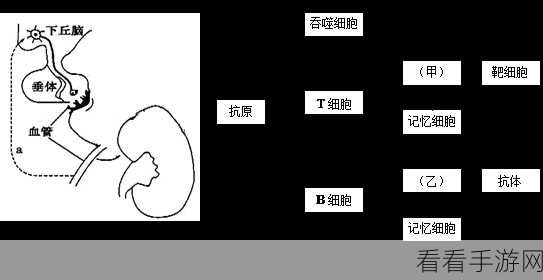 能不能干湿你：探索拓展能的干湿调节机制与应用潜力