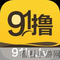 91确解版：91确解版：全面解析与应用指南，助你高效学习