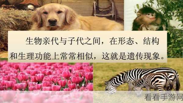 狗和人类dna：探索狗与人类DNA的相似性及其遗传启示