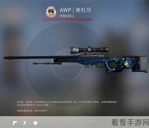 日本csgo大姐姐awp多少钱黄：日本CSGO大姐姐AWP价格详解与市场分析