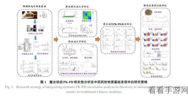 药效1v2h：“拓展药效研究：1v2h模式探索新疗法的潜力”