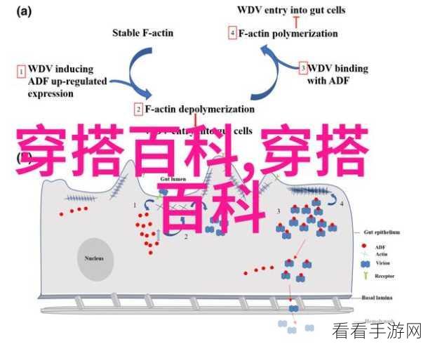 深度开发1 V6笔趣阁：深度开发1 V6：探索无尽可能的编程世界