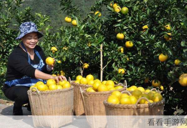 庆元吴建飞近期新闻：庆元吴建飞：乡村振兴新探索，助力地方经济发展大计！