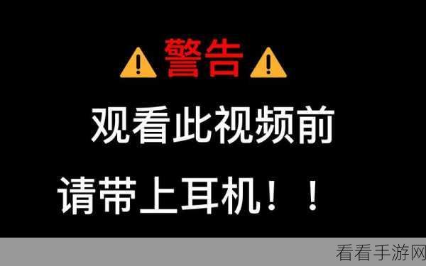 十八款夜间禁用b站大全：揭秘十八款夜间禁用B站视频推荐，深夜不容错过的精彩内容