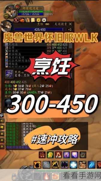 WLK工程300到450：WLK工程创新升级：从300到450的全新发展之路