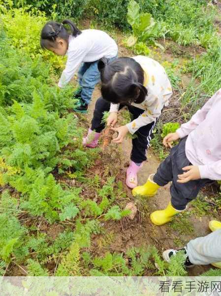 光腿拔萝卜光腿拔萝卜：光腿拔萝卜：体验自然乐趣与健康生活的完美结合