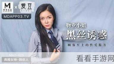 麻豆视频网页入口大全:全面解析麻豆视频网页入口及使用技巧大全分享
