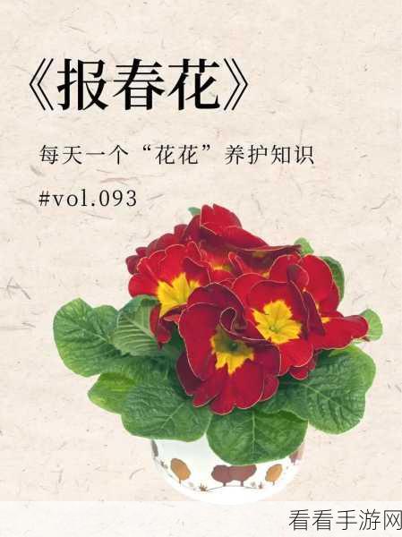 独占1.v1小花：独占1.v1小花：绽放在春风里的青春故事