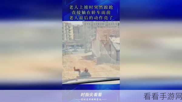 二人世界生猴子视频：二人世界的甜蜜旅程：一起迎接小生命的到来