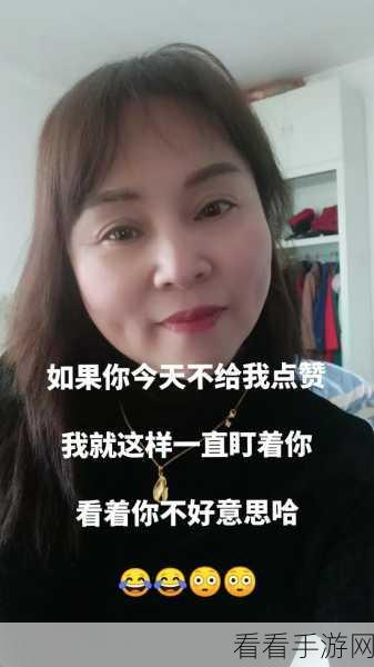 暴躁老阿姨：暴躁老阿姨的幽默人生与温暖故事