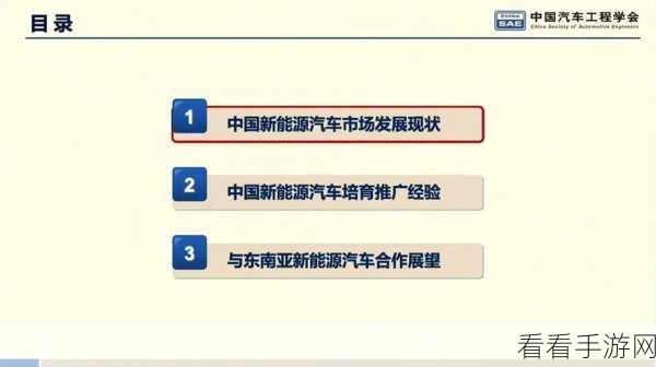 中国Chinain20years：未来中国：探索2030年发展的新机遇与挑战