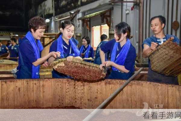 真人两个男生做酿酿酱酱：两个男生的酿酒之旅：从初学者到大师的成长故事