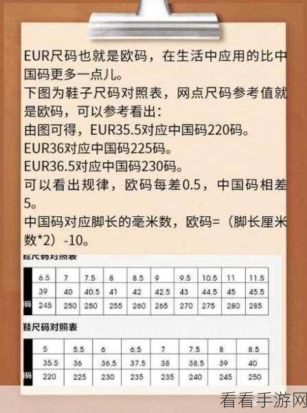 欧亚尺码专线欧洲b1b2：全面解析欧亚尺码专线：欧洲B1与B2的区别与应用