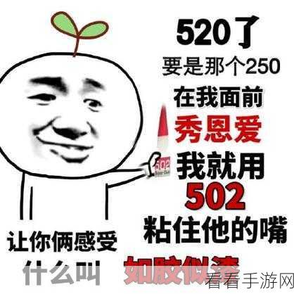 我爱搞502：热爱搞502，探索无限可能的创意世界